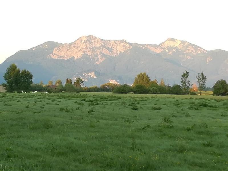 Moosblick Zwischen Bergen Und Lejlighed Benediktbeuern