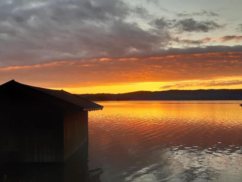 Moosblick Zwischen Bergen Und Lejlighed